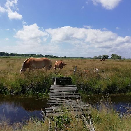 Dom Goscinny Ptaszarnia - Natura-Free Parking Swinoujscie Luaran gambar