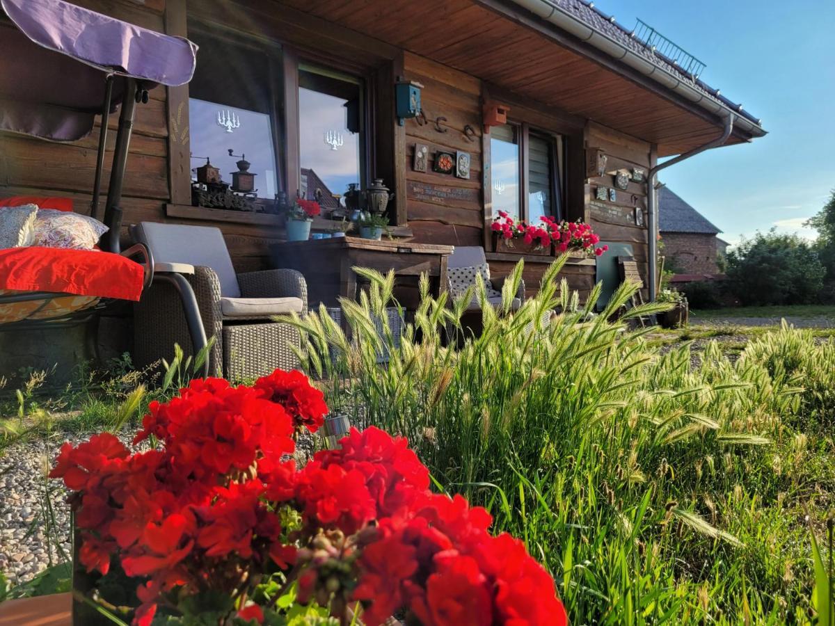 Dom Goscinny Ptaszarnia - Natura-Free Parking Swinoujscie Luaran gambar