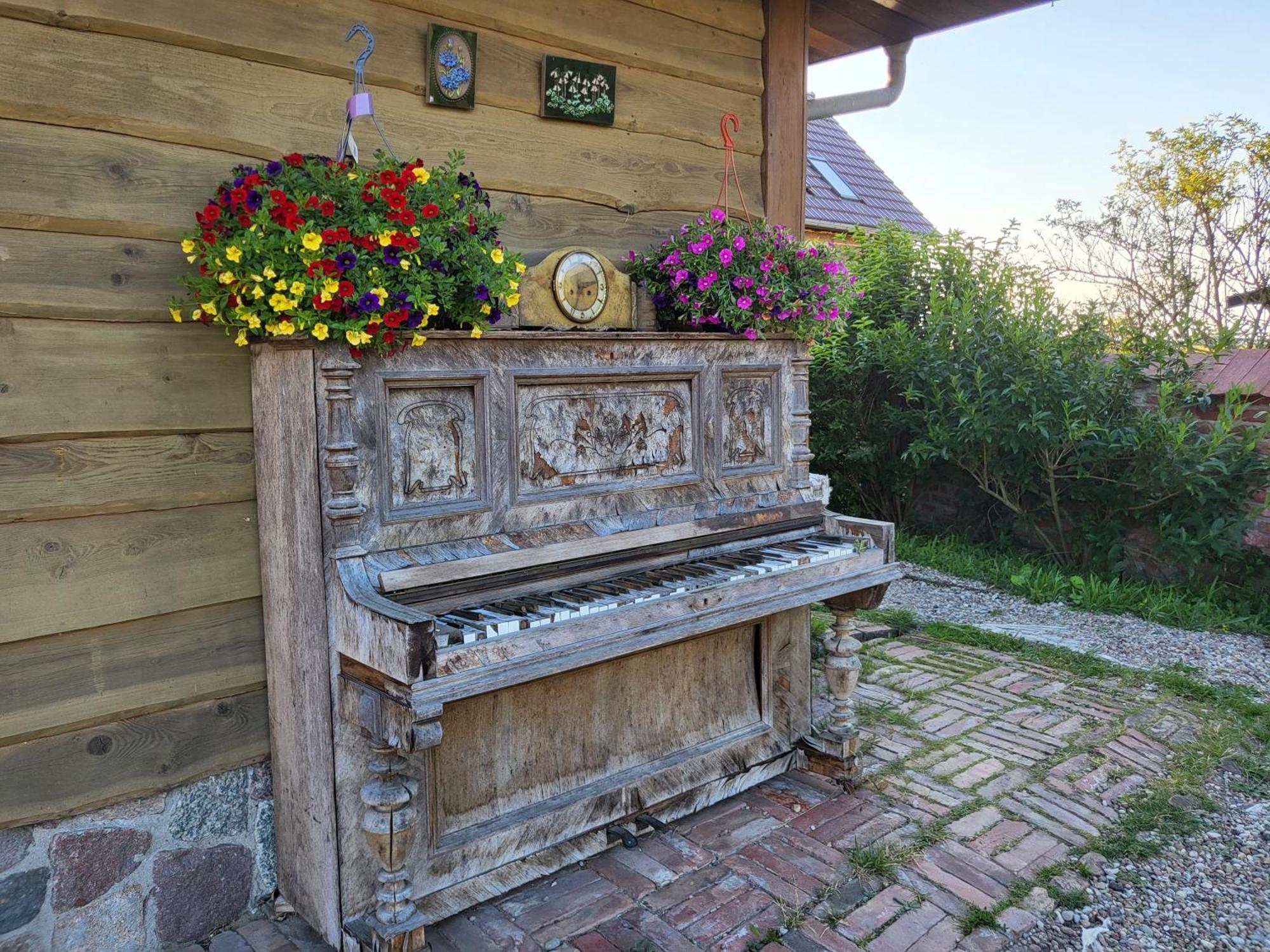 Dom Goscinny Ptaszarnia - Natura-Free Parking Swinoujscie Luaran gambar