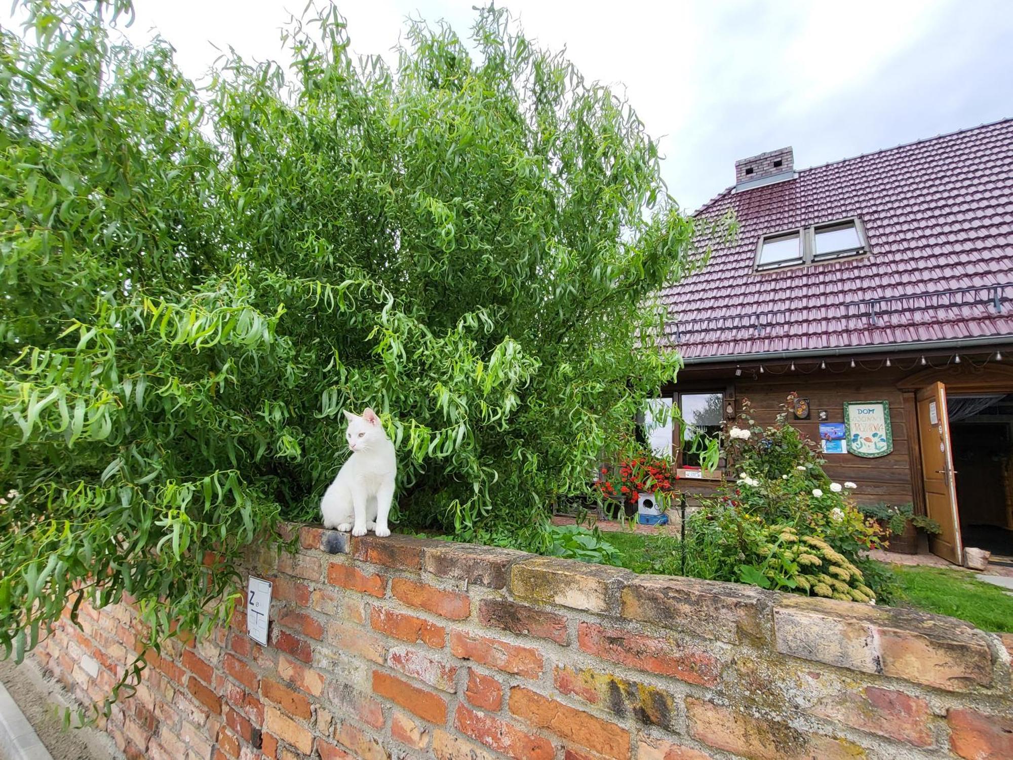 Dom Goscinny Ptaszarnia - Natura-Free Parking Swinoujscie Luaran gambar